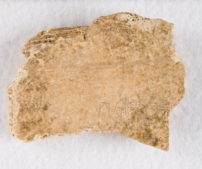 Kaiverrettu luufragmentti oraakkeliluu, myöhäinen Shang-dynastia, n. 1300-1050 eaa. tekijältä Unbekannt