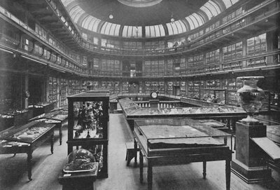 Geologisen museon sisätilat, Jermyn Street, 1904 tekijältä Unbekannt