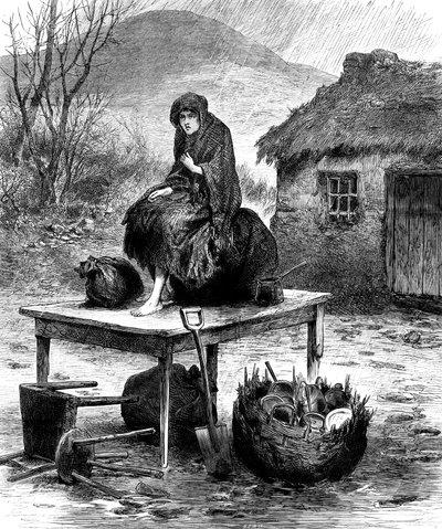 Irlantilainen talonpoikatyttö vartioi perheen viimeistä omaisuutta, 1886 tekijältä Unbekannt