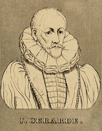 J. Gerarde, c1545-1612, 1830. tekijältä Unbekannt