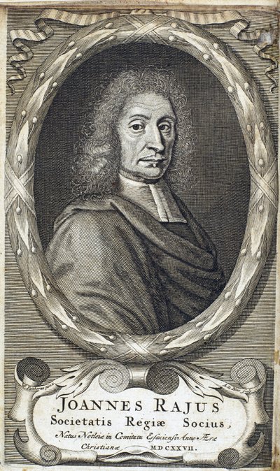 John Ray (Wray), englantilainen luonnontieteilijä, n. 1700 tekijältä Unbekannt