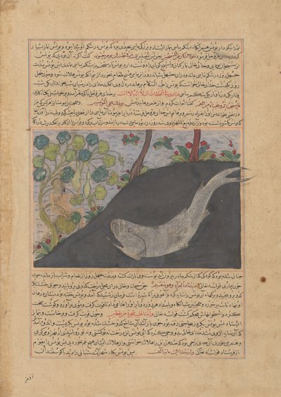 Jonah and the Whale, Folio Majma