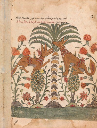 Kalila Upbraiding Dimna, Folio Kalila wa Dimnasta, 1700-luku. tekijältä Unbekannt