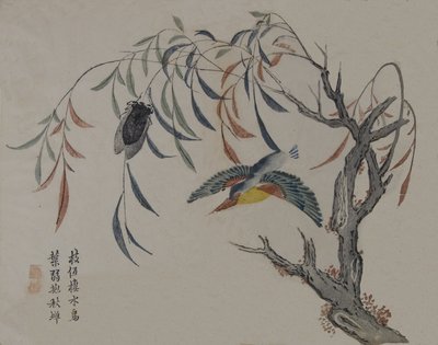 Kingfisher, Cigarra i Willow Tree, segle XIX. finlandès tekijältä Unbekannt