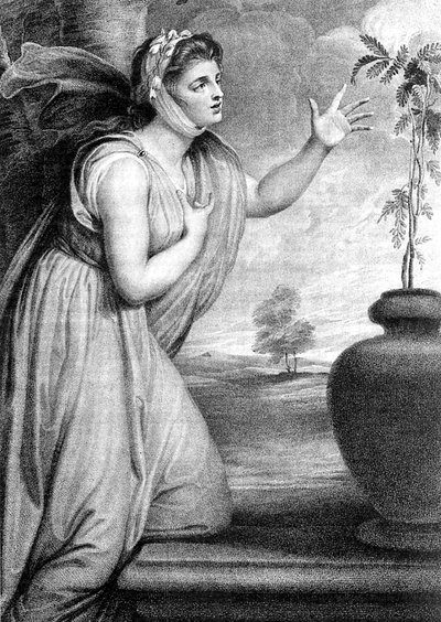 Lady Emma Hamilton, Sir William Hamiltonin vaimo ja Horatio Nelsonin rakastajatar tekijältä Unbekannt
