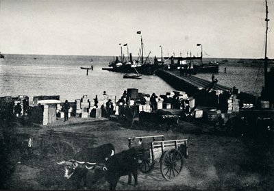 Laskeutumispaikka, Punta Arenas, 1911 tekijältä Unbekannt