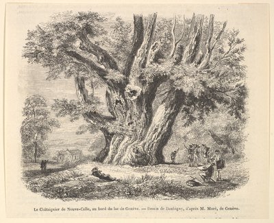 Neuve-Cellen kastanjapuu Genevejärven rannalla Daubignyn jälkeen, 1835-78. tekijältä Unbekannt