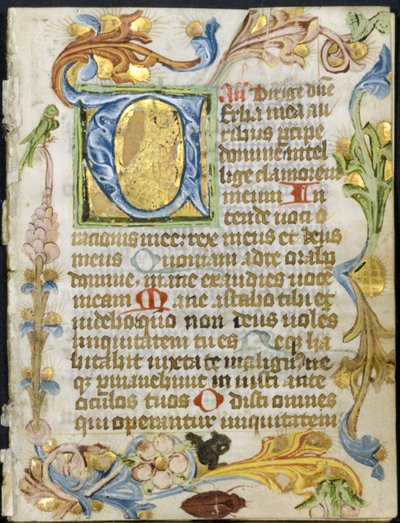 Lehti tuntikirjasta: Initial V kukkareunuksella, n. 1460-1500. tekijältä Unbekannt