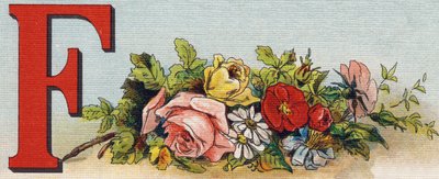 Kirjain F: kukkia. Kaiverrus "Alphabet de ma petite fille". Bernardin-Bechet ja Fils, kirjakauppias-kustantajat, Pariisi, noin 1895. Rikkoutumaton albumi kankaalle. Bibliotheque des Bebes. 12 sivua. Albumi, joka sisältää lukumenetelmän ja havainnollisen ab tekijältä Unbekannt