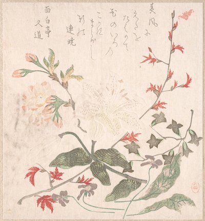 Lilja, violetit, kirsikankukat, forsythia ja punavaahteran oksa, 1700-1800-luku. tekijältä Unbekannt