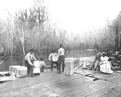 Ladataan appelsiineja Ocklawaha-joelle, Florida, USA, c1900. tekijältä Unbekannt