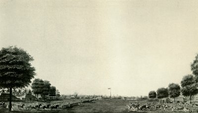 Lord Wellesley tarkastelee henkivartijaa Ballygungessa, c1770, c19250. tekijältä Unbekannt
