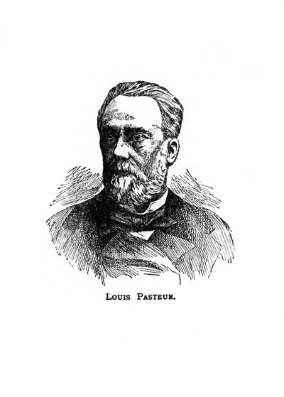 Louis Pasteur, 1800-luvun ranskalainen mikrobiologi ja kemisti, 1900-luku tekijältä Unbekannt