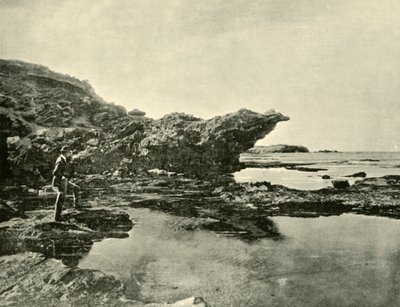 Laskuvesi, Shelly Beach, Warrnambool, 1901. tekijältä Unbekannt