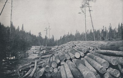 Metsätyö, 1924 tekijältä Unbekannt