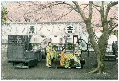 Lounaspöytä julkisessa puistossa, Japani, 1904 tekijältä Unbekannt