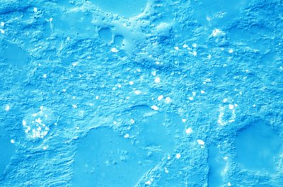 MINERAALIT, LM Mudstone tekijältä Unbekannt