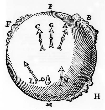 Magnetismi, 1600 tekijältä Unbekannt