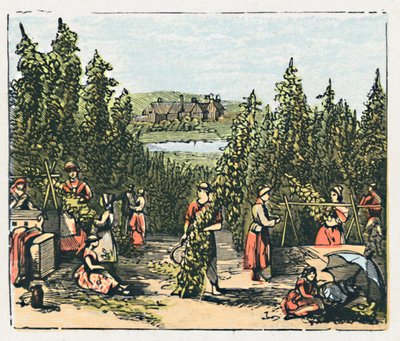 Maidstone, 1910 tekijältä Unbekannt