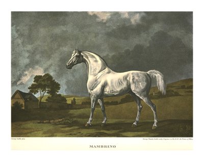 Mambrino, c1779, c1955. tekijältä Unbekannt