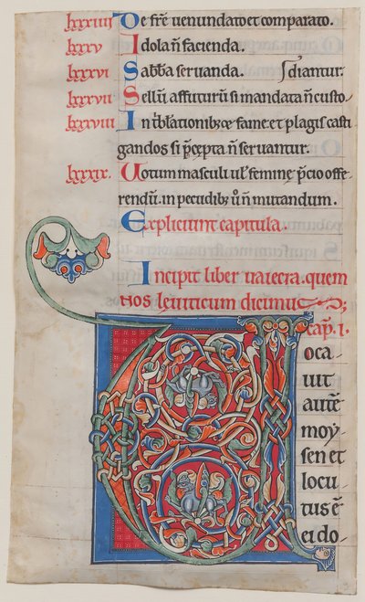 Il·luminació manuscrita amb inicial V, d