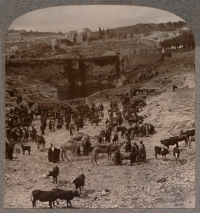 Markkinapäivä Gihonin altaalla, 1900 tekijältä Unbekannt
