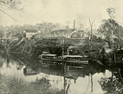 Meat Works, lähellä Graftonia, New South Wales, 1901. tekijältä Unbekannt