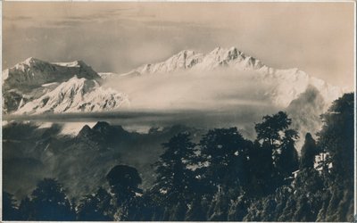 Ei ghty kultatilaus on c1940 tekijältä Unbekannt