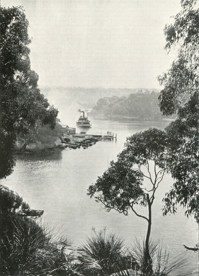 Mosmans Bay, Cremorne Jetty, c1900. tekijältä Unbekannt
