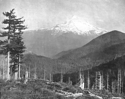 Mount Hood, Oregon, USA, c1900. tekijältä Unbekannt