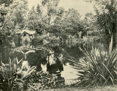 Mr. Ryans Gardens, Mount Macedon, Victoria, 1901. tekijältä Unbekannt