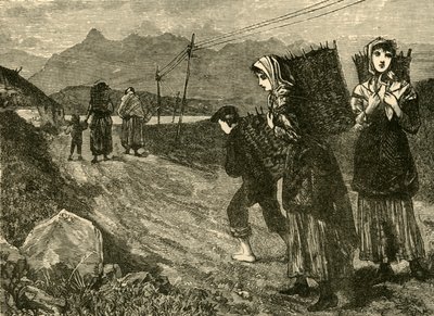 Alkuperäiset etsivät turvetta, 1898. tekijältä Unbekannt