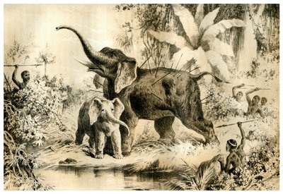 Natives Spearing an Elephant, 1883 tekijältä Unbekannt