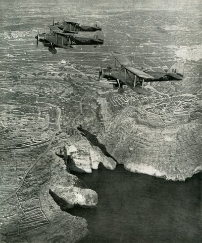 Laivaston valkotonnikalat olivat osa iskujoukkoa vuosina 1942-1943, 1945. tekijältä Unbekannt