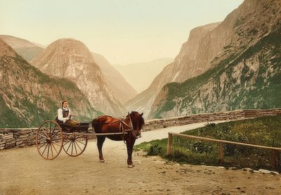 Norjalainen talonpoikatyttö hevoskärryissä. Noin 1900. Photochrom. Valokuvaus: Photoglob / Zurich tekijältä Unbekannt