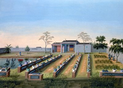 Taimitarha, Kiina, 1820-1840 tekijältä Unbekannt