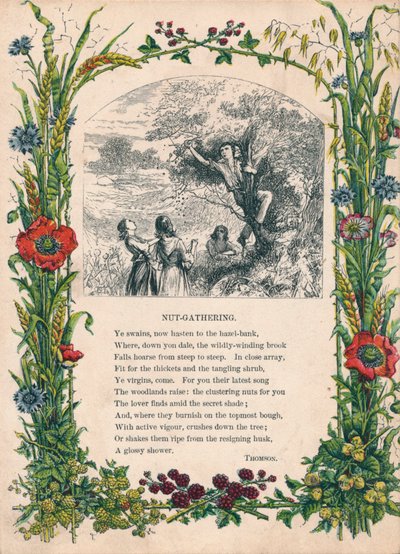 Nut-Gathering, kirjoittanut Thomson, c1900 tekijältä Unbekannt