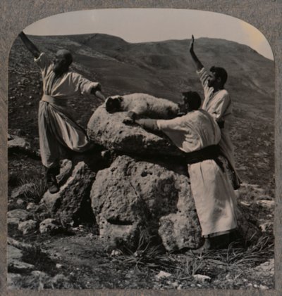 Karitsan uhraus alttarilla, Moreh, n. 1900 tekijältä Unbekannt