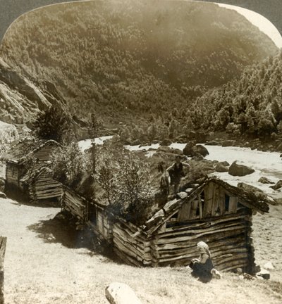 Vanhoja hirsitaloja Bratslandsdalissa, jossa puut kasvavat turvekatoilla, Norja, c1905. tekijältä Unbekannt