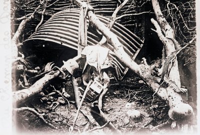 Chemin des Damesilla, Pohjois-Ranskassa, c1914-c1918 tekijältä Unbekannt