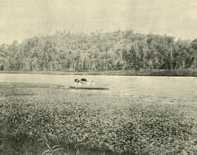 Enoggera-järvellä, 1901. tekijältä Unbekannt