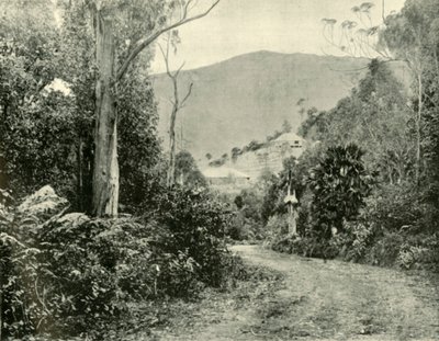 Illawarra Roadilla, N.S.W., 1901. tekijältä Unbekannt