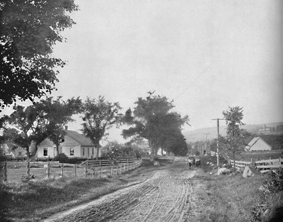 On the Road to Echo Lake, White Mountains, New Hampshire, c1897. tekijältä Unbekannt