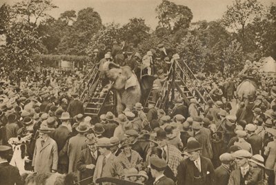 Yksi sivilisaatiomme merkeistä: hyvin varustetut eläintarhat ilahduttaaksesi uteliaita, c193 tekijältä Unbekannt