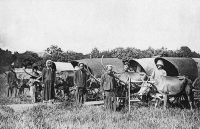 Härkäkärryt, Cochin Kiina, Vietnam, 1900-luku tekijältä Unbekannt