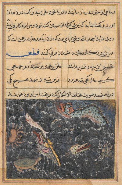 Sivu julkaisusta Tales of a Parrot Tuti-nama: Yhdestoista yö: Meren olennot, n. 1560. tekijältä Unbekannt