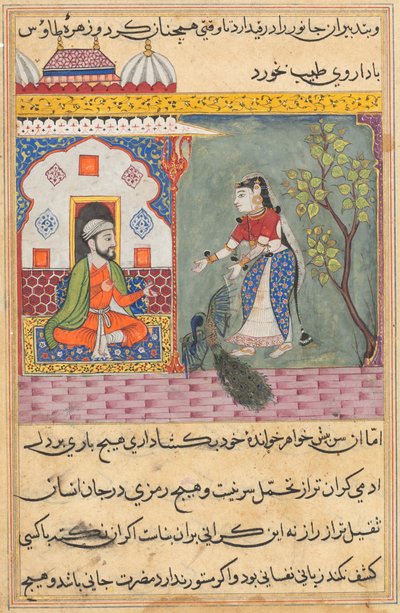 Sivu julkaisusta Tales of a Parrot Tuti-nama: Yhdeksästoista yö: Brahmanin vaimo..., n. 1560. tekijältä Unbekannt