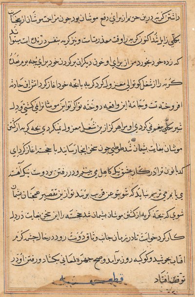 Sivu julkaisusta Tales of a Parrot Tuti-nama: tekstisivu, n. 1560. tekijältä Unbekannt