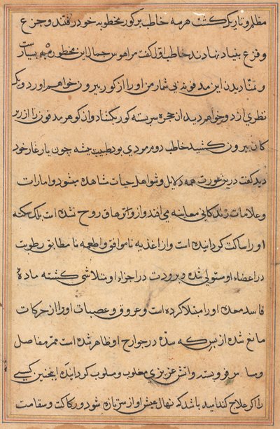 Sivu julkaisusta Tales of a Parrot Tuti-nama: tekstisivu, n. 1560. tekijältä Unbekannt