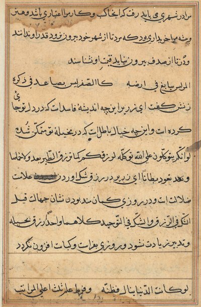 Sivu julkaisusta Tales of a Parrot Tuti-nama: tekstisivu, n. 1560. tekijältä Unbekannt